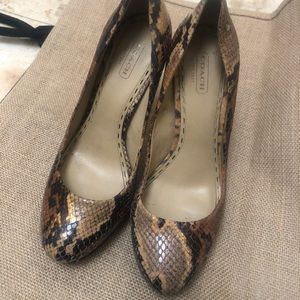 Coach buffy platform pumps